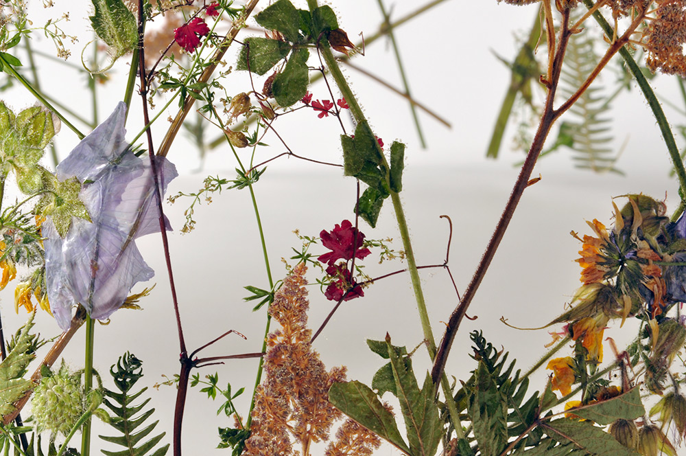 Ignacio Canales Aracil