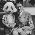 Panda e Hitler