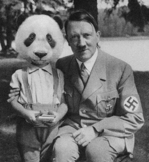 Panda e Hitler