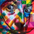 Eduardo Kobra