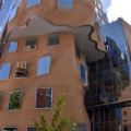 Frank Gehry