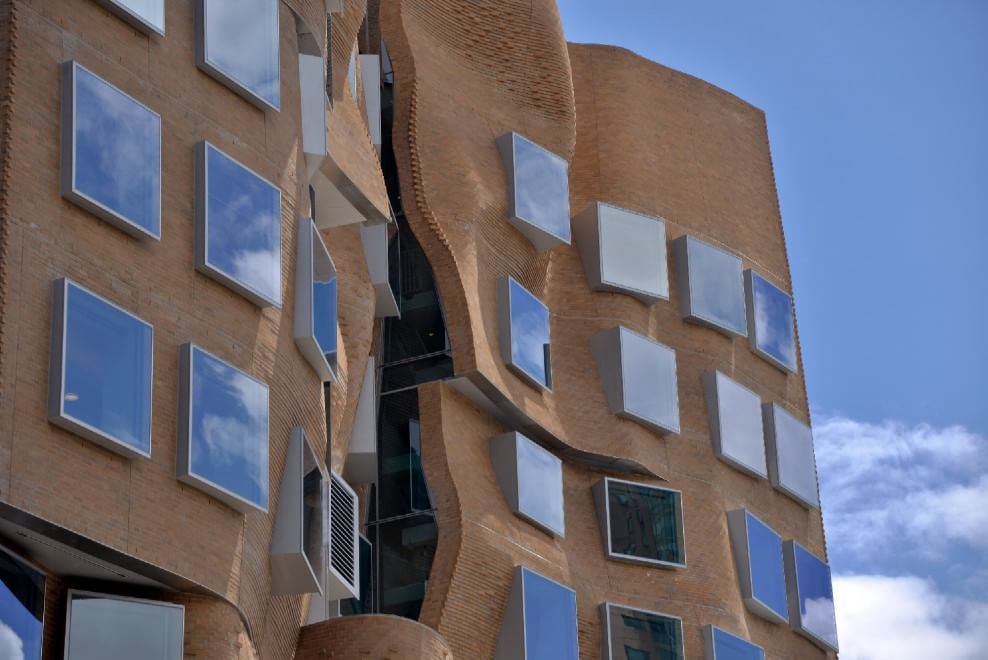 Frank Gehry