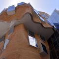 Frank Gehry