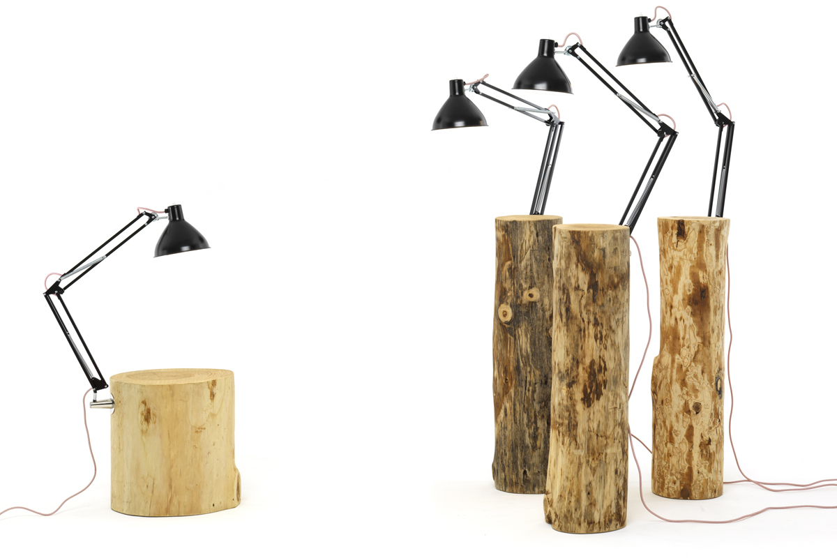 Marcantonio Raimondi Malerba