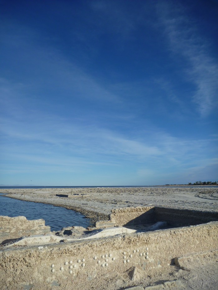 The Blind - Birds Eye View 2012