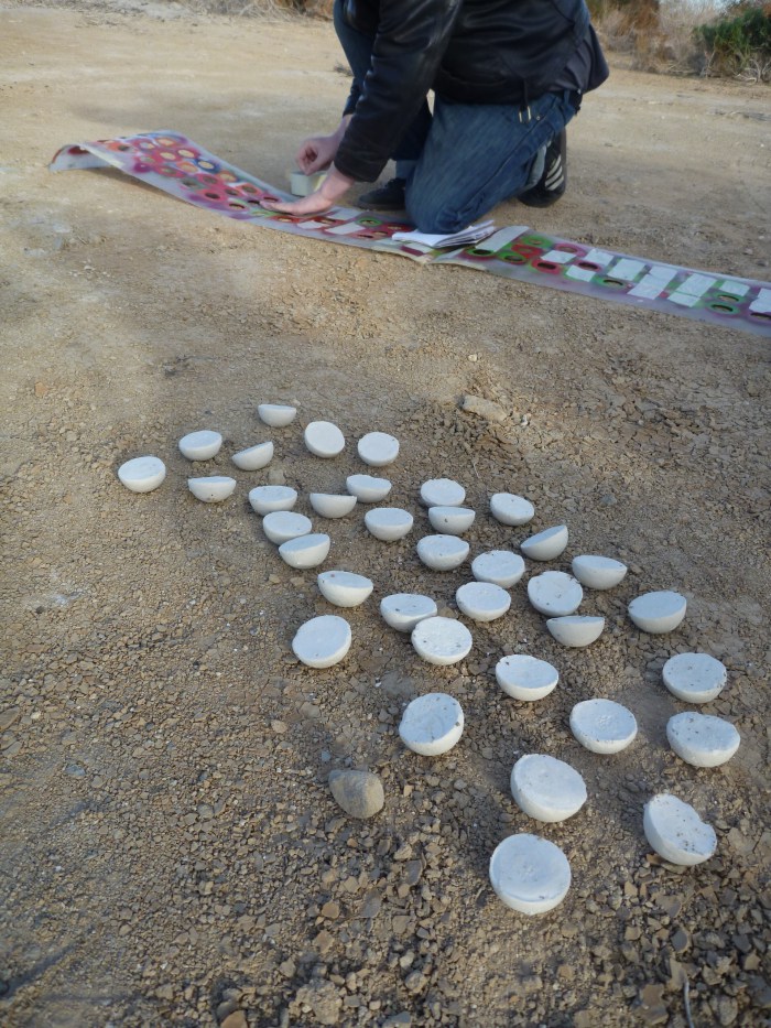 The Blind - Salton Sea (USA) 2012