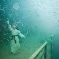 Andreas Franke