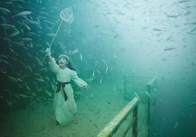 Andreas Franke