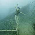 Andreas Franke