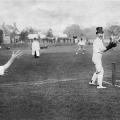Cricket col cappello a cilindro, 1908
