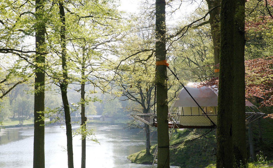 Dom'Up by Trees and People