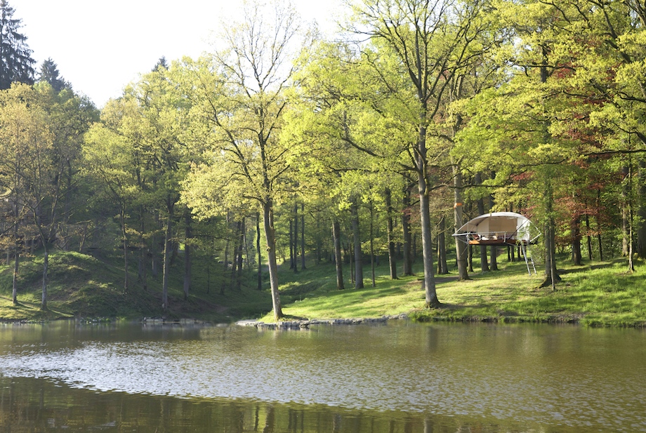 Dom'Up by Trees and People