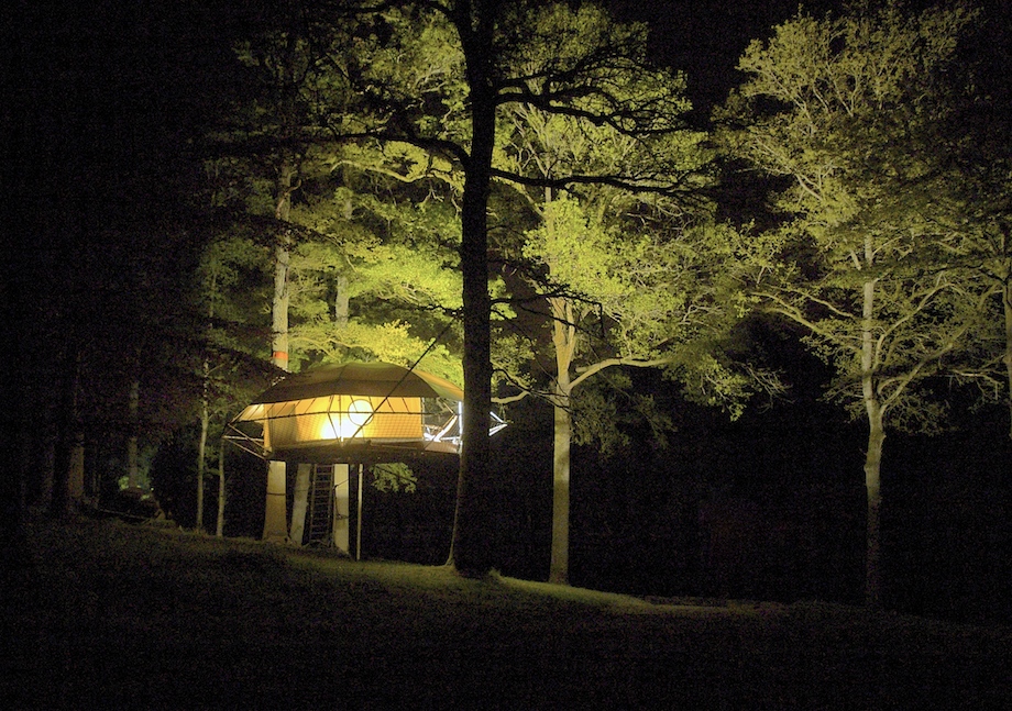 Dom'Up by Trees and People