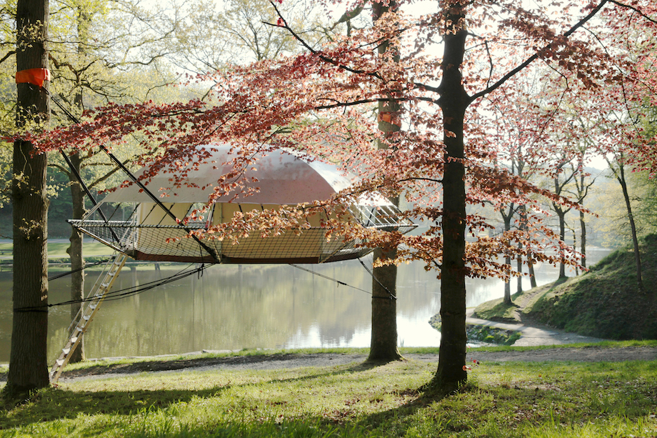 Dom'Up by Trees and People