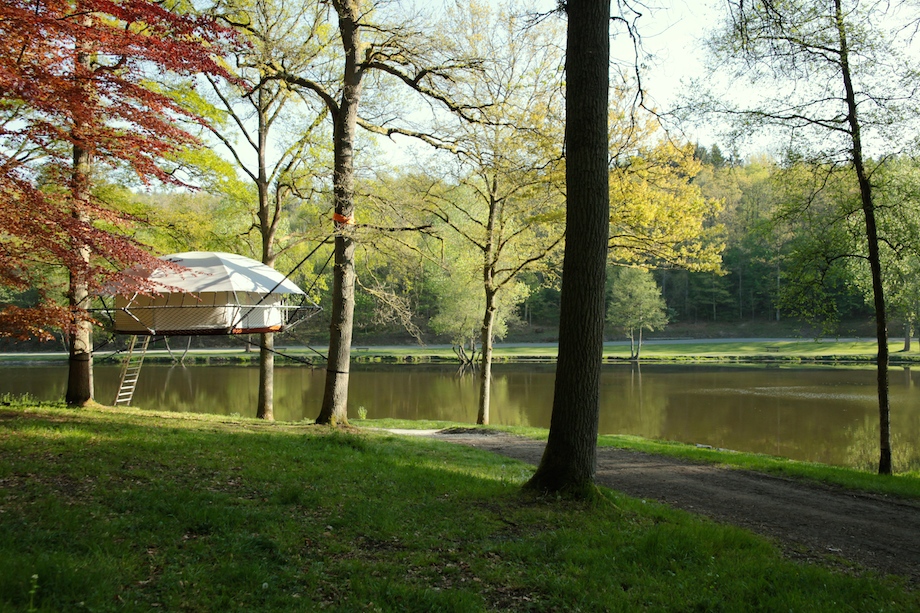 Dom'Up by Trees and People