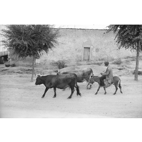 Henri Cartier-Bresson - Tra Nuoro e Siniscola, 1962