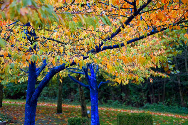 Konstantin Dimopoulos