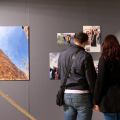 Laura Farneti per Sustainable Happiness – mostra residenze Alig’art 2014