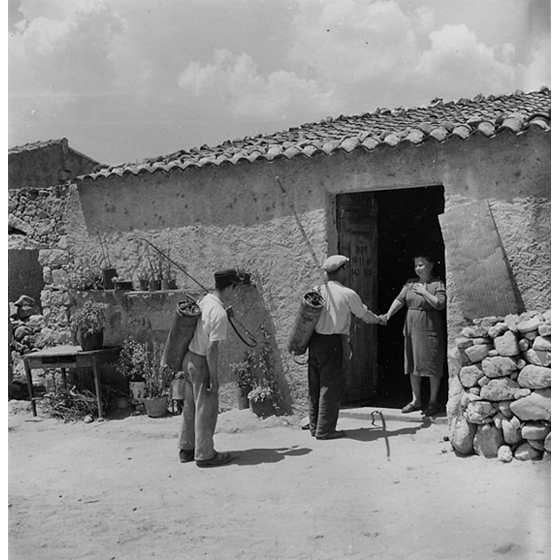 Suschitzky - Arrivo degli operai per la disinfestazione, 1950