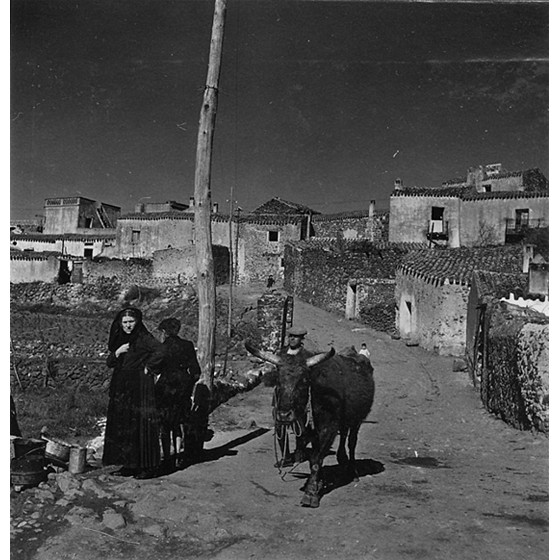Suschitzky - Dorgali 1948