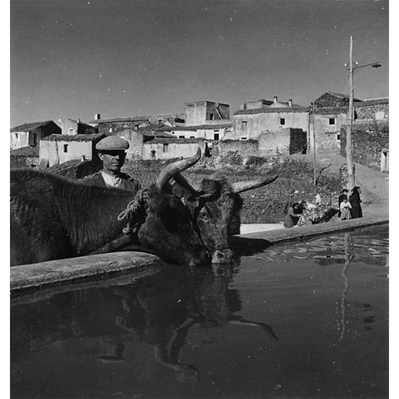 Suschitzky - Dorgali, 1948
