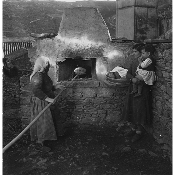 Suschitzky - Goni, 1948 Suschitzky - Goni, 1948