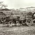 August Sander – Sardegna