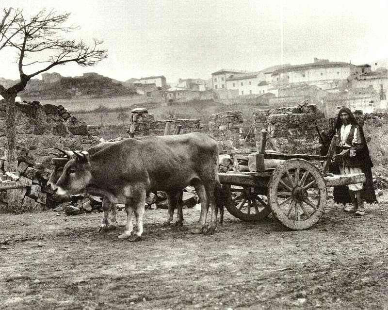 August Sander - Sardegna