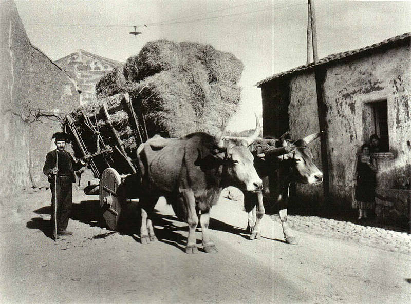 August Sander - Sardegna