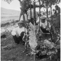 Pablo Volta – Desulo, Festa della Madonna della neve, agosto 1956