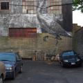 ROA street art