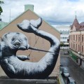 ROA street art