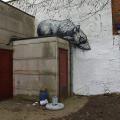 ROA street art