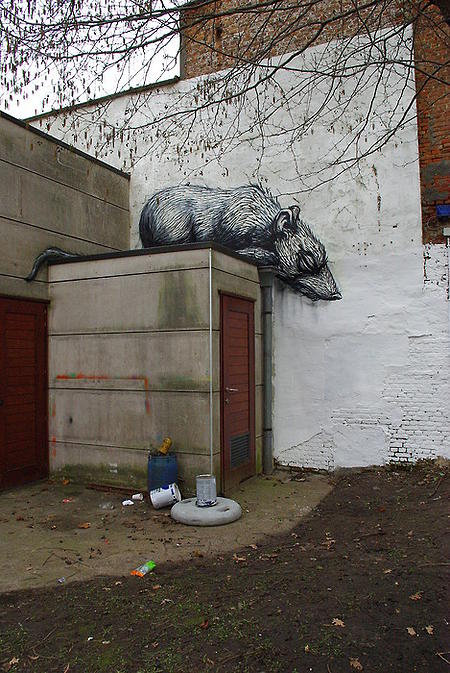 ROA street art