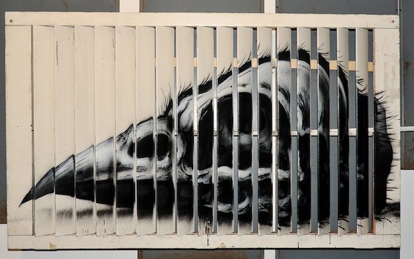 ROA street art