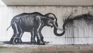 ROA street art