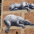 ROA street art