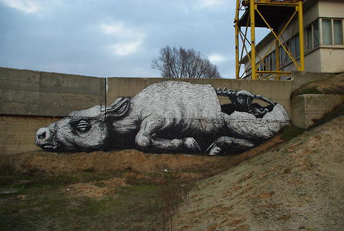 ROA street art