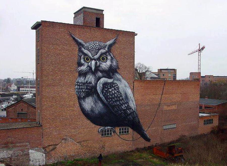 ROA street art