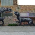 ROA street art