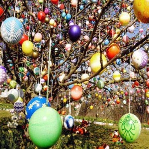 Tradizioni di Pasqua - Germania - l'albero delle uova colorate