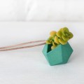 Wearable Planter by Colleen Jordan