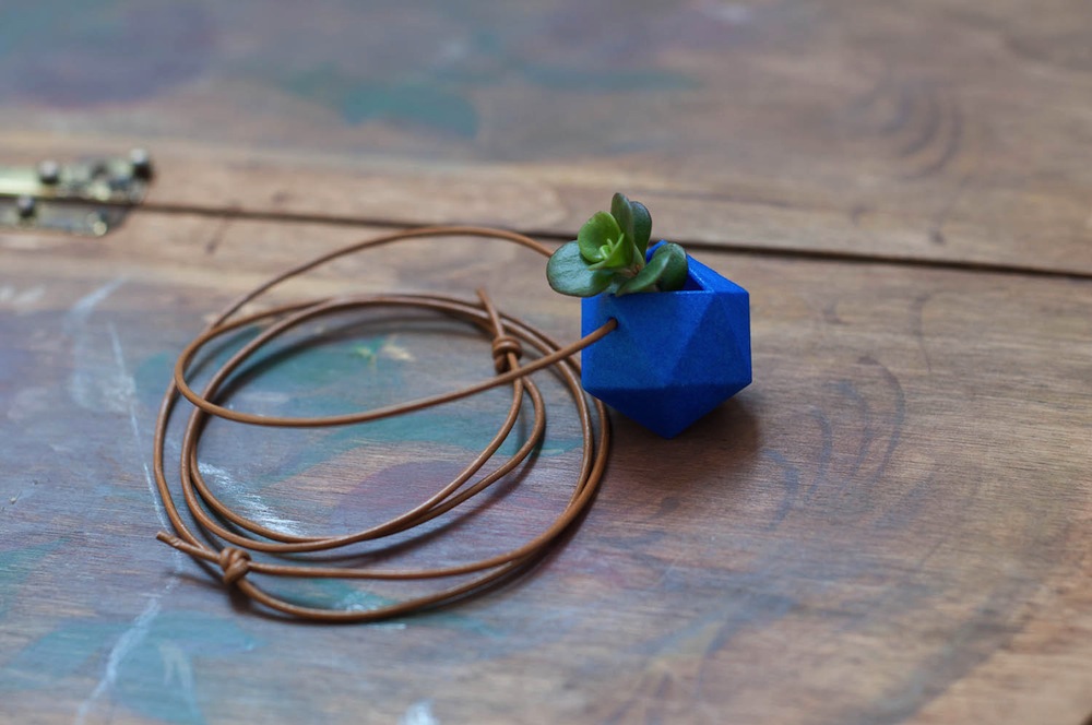 Wearable Planter by Colleen Jordan