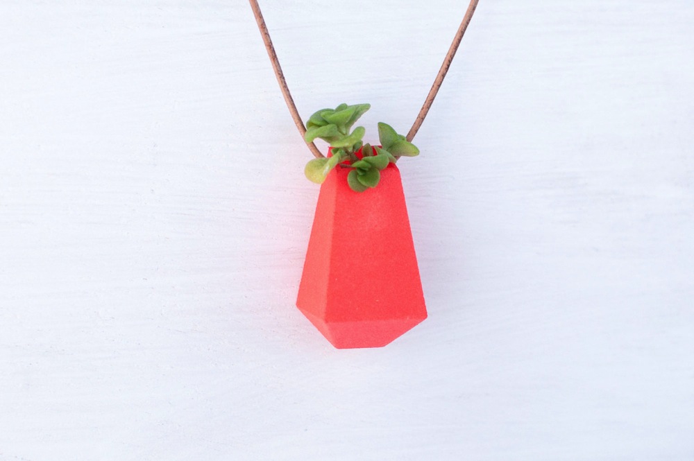 Wearable Planter by Colleen Jordan
