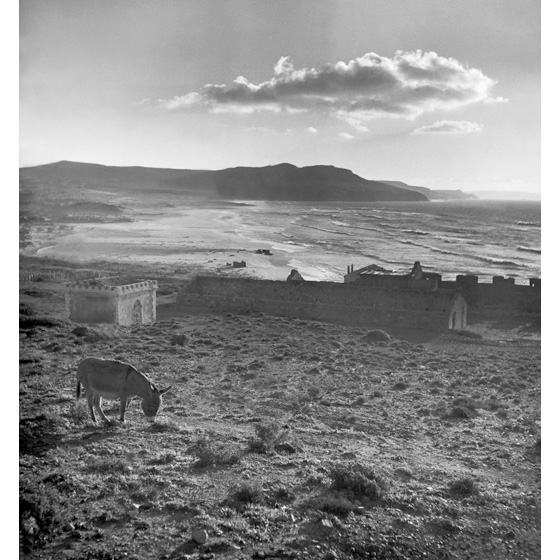 Werner Bischof - Sardegna 1950