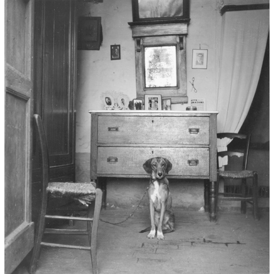 Werner Bischof - Sardegna, Iglesias 1950