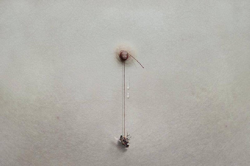 Yung Cheng Lin aka 3cm