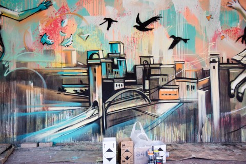 Nuovo murale dell'artista italiana Alice Pasquini (aka AliCè) al Centro Minori stranieri non accompagnati (Roma)