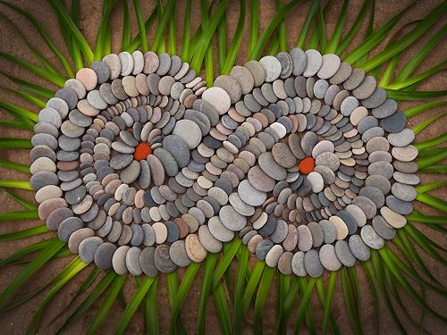 Creations in Nature by Dietmar Voorwold