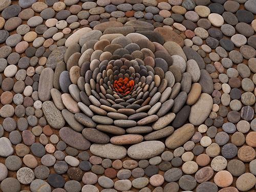 Creations in Nature by Dietmar Voorwold